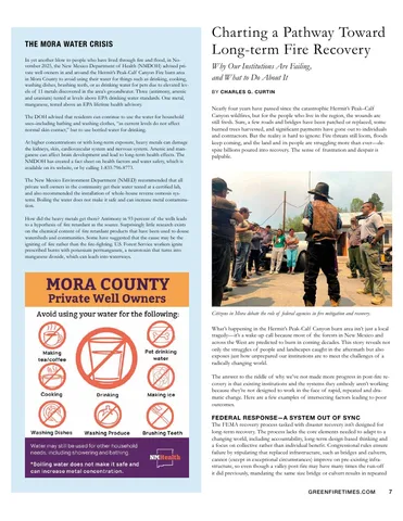 Charting a Pathway Toward Long-term Fire Recovery (Green Fire Times, 2026)