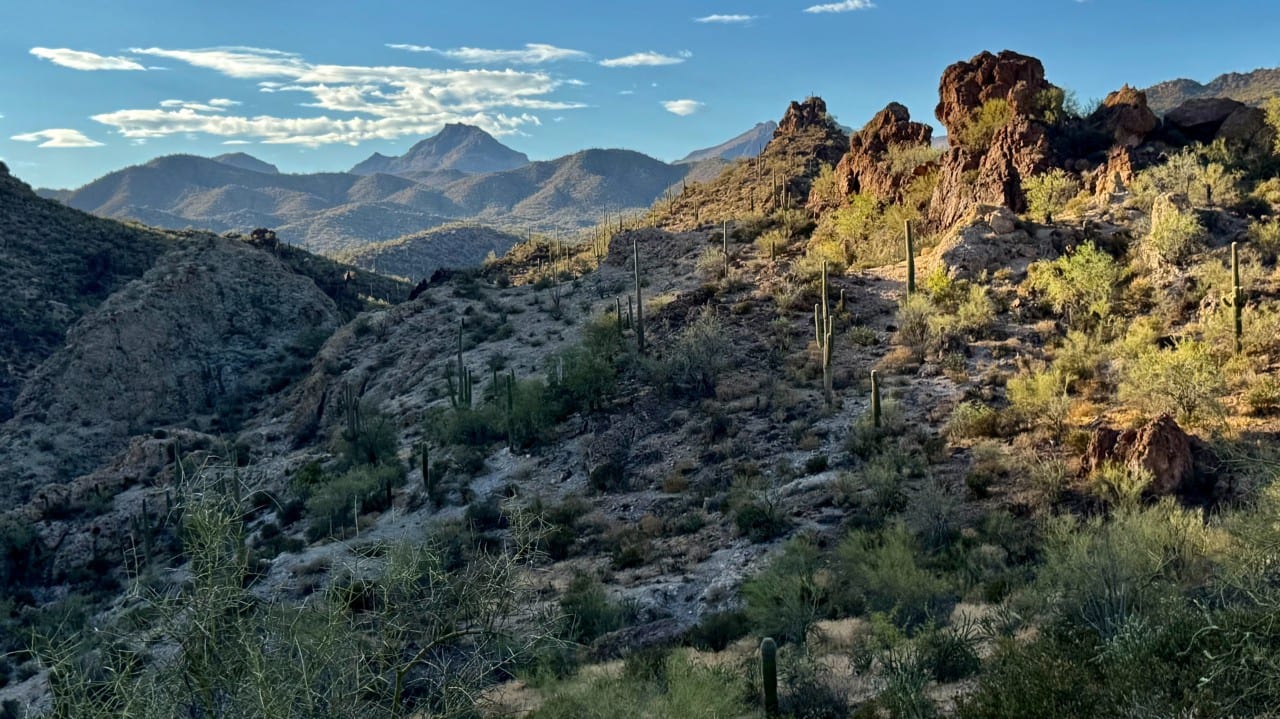 Cover image of the article Toward Creating Evolving Landscapes and Bioregions.