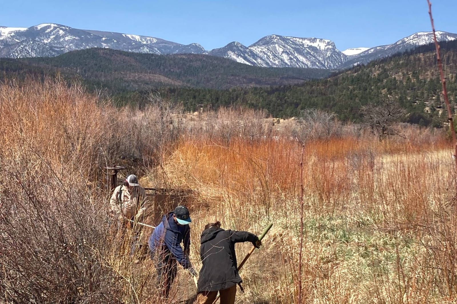 A small crew clearing willow and brush along an irrigation ditch below snow-capped mountains.