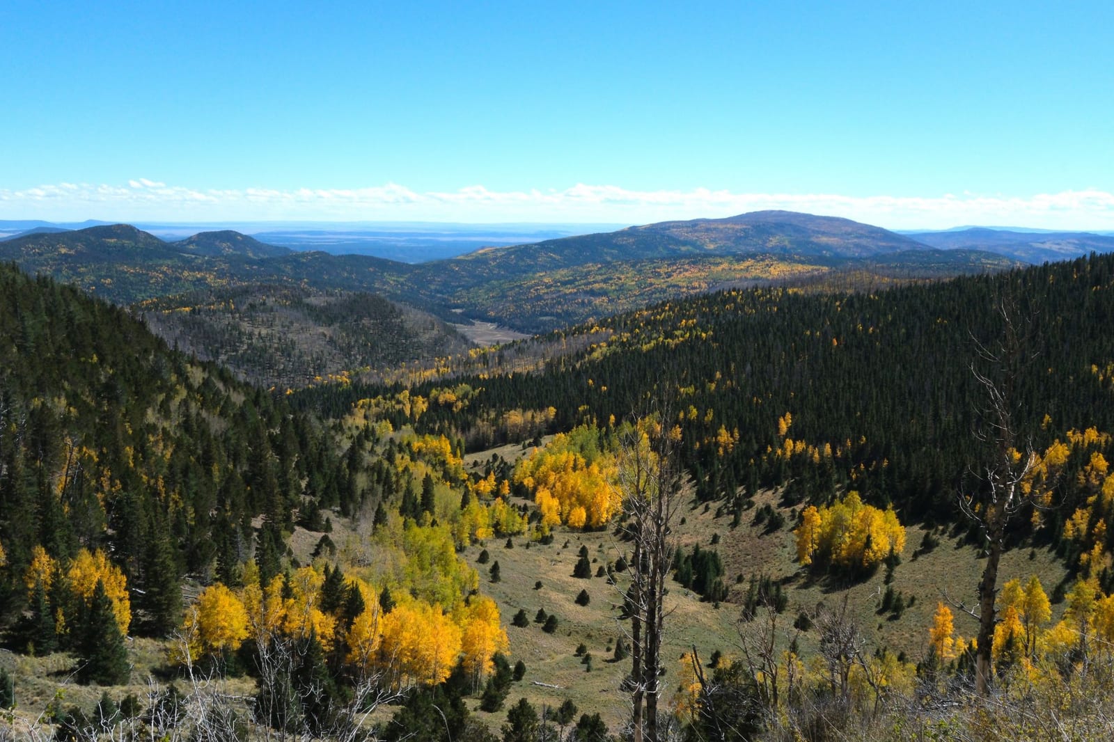 A high mountain valley of dark conifers and golden aspen above an open meadow, the plains beyond.