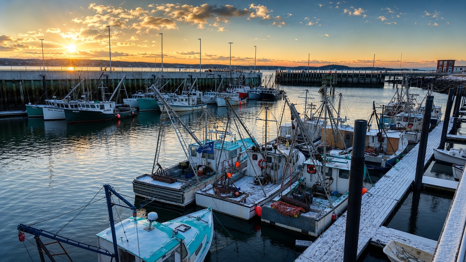 Downeast Initiative
